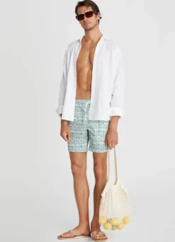 Swim Shorts^Aqua Blu Boardshorts Evergreen