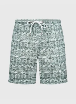 Swim Shorts^Aqua Blu Boardshorts Evergreen