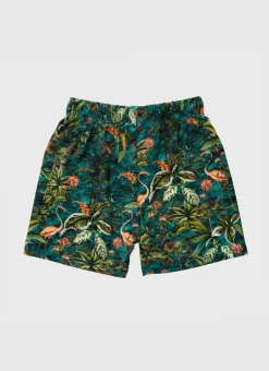 Shop Infants (00-2)|Boardshorts^Aqua Blu Lycra Boardshorts Ladybird