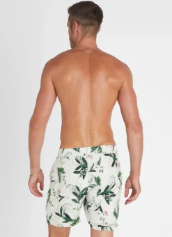 Bottoms|Bottoms^Aqua Blu Lily Taylor Shorts